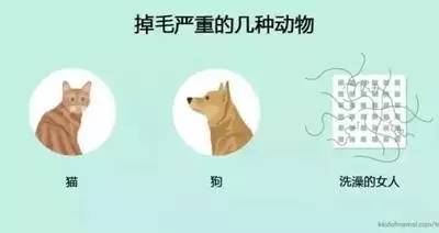 看到第一图就给跪了，这样的队友，还是散了吧