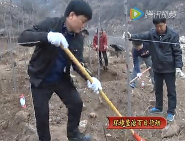 绛县县委组织部志愿服务队在帮扶村开展义务植树活动