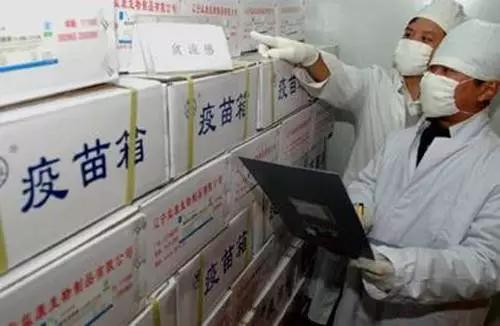 涿州的“疫苗”到底安全不安全？