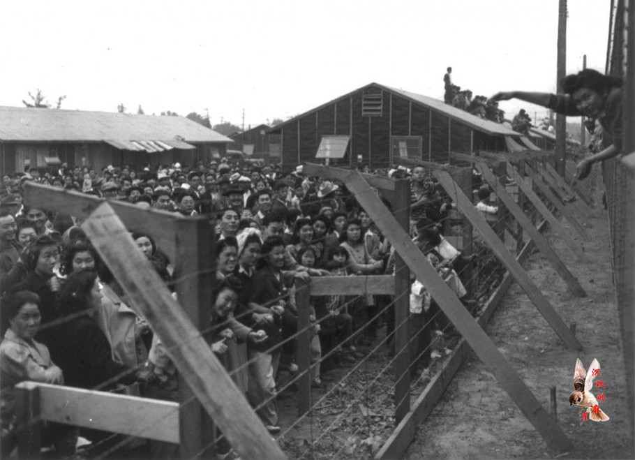 二战时期，这位美国大法官曾把十二万日本人关进集中营？