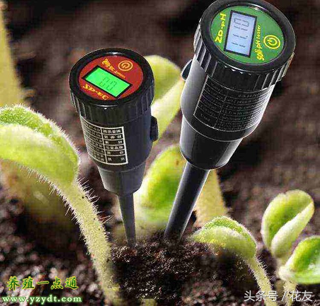 花卉土壤酸碱度的平衡