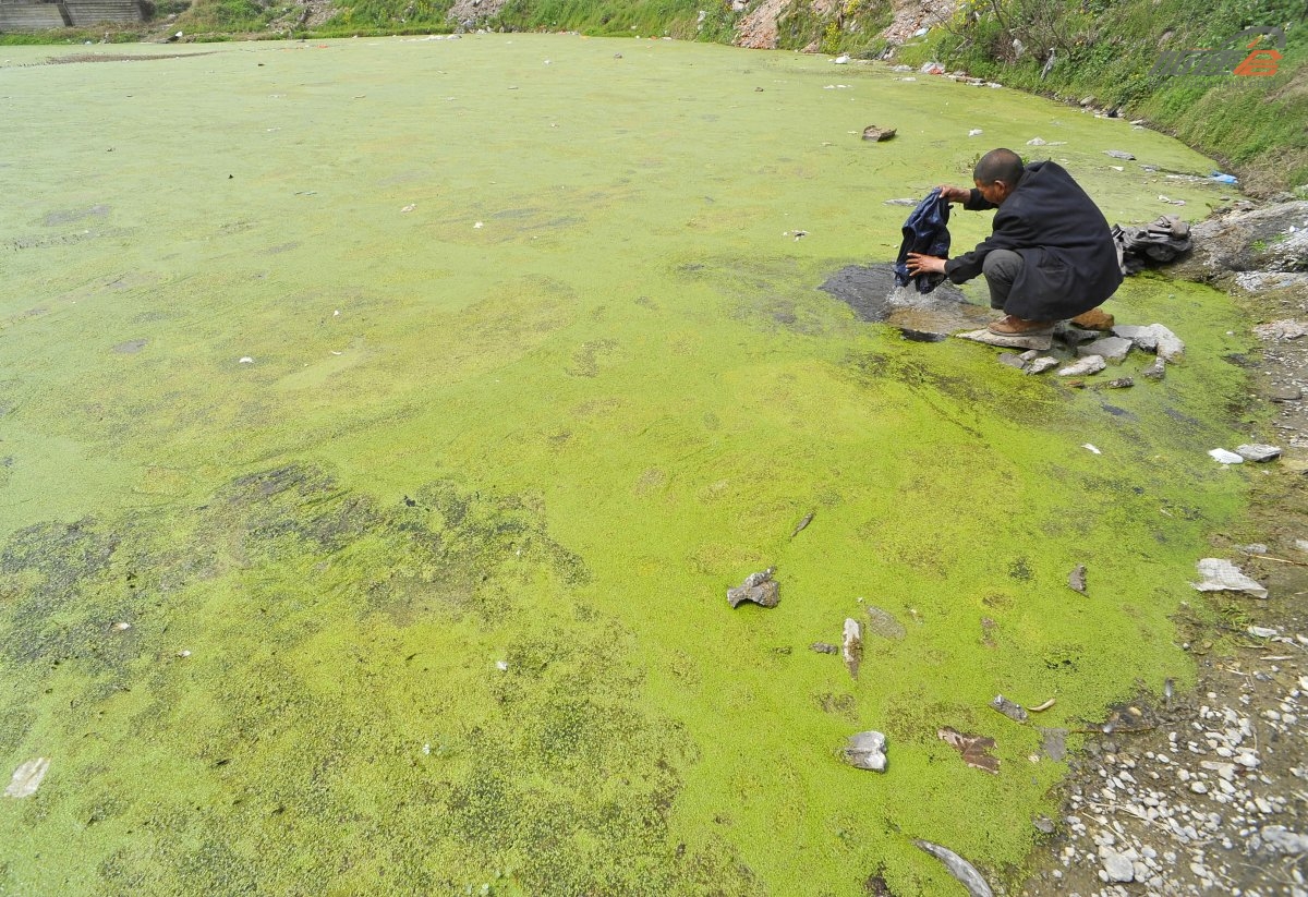 中国水污染有多严重，来看看这13张可怕的照片