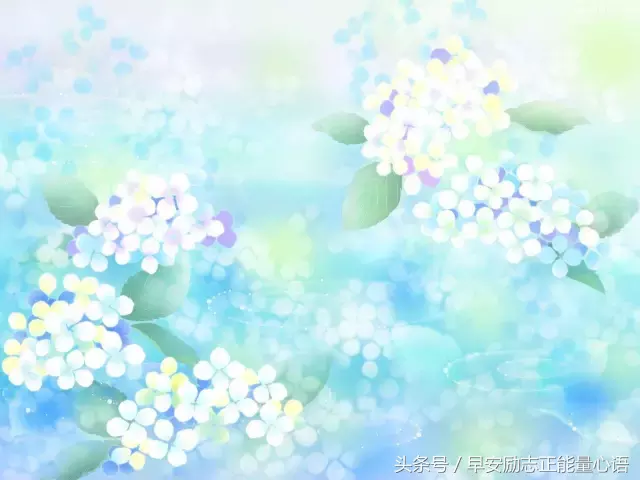 送给对方不珍惜的句子 给不重视我的人的句子图片