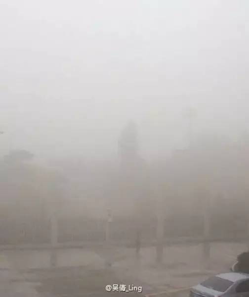厦门日报社融媒体直播：雨、雾、雷、电出行请小心！