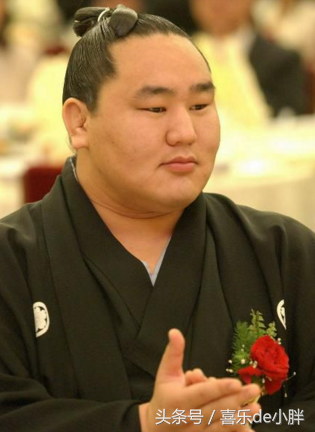 鏡頭下 日本相撲界八大 橫綱 力士 被本國人敬仰 收入極高 天天看點