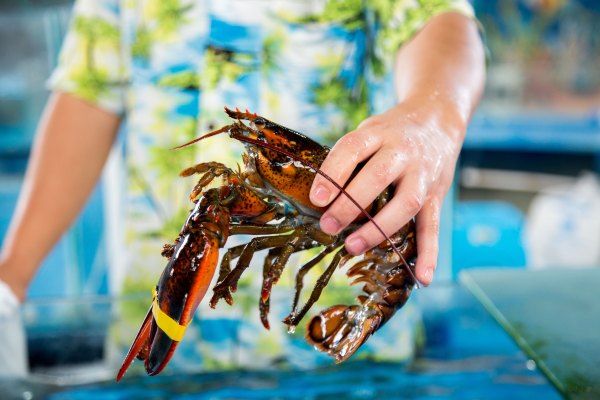 距离市区不到10km，这才是三亚最大的海鲜市场
