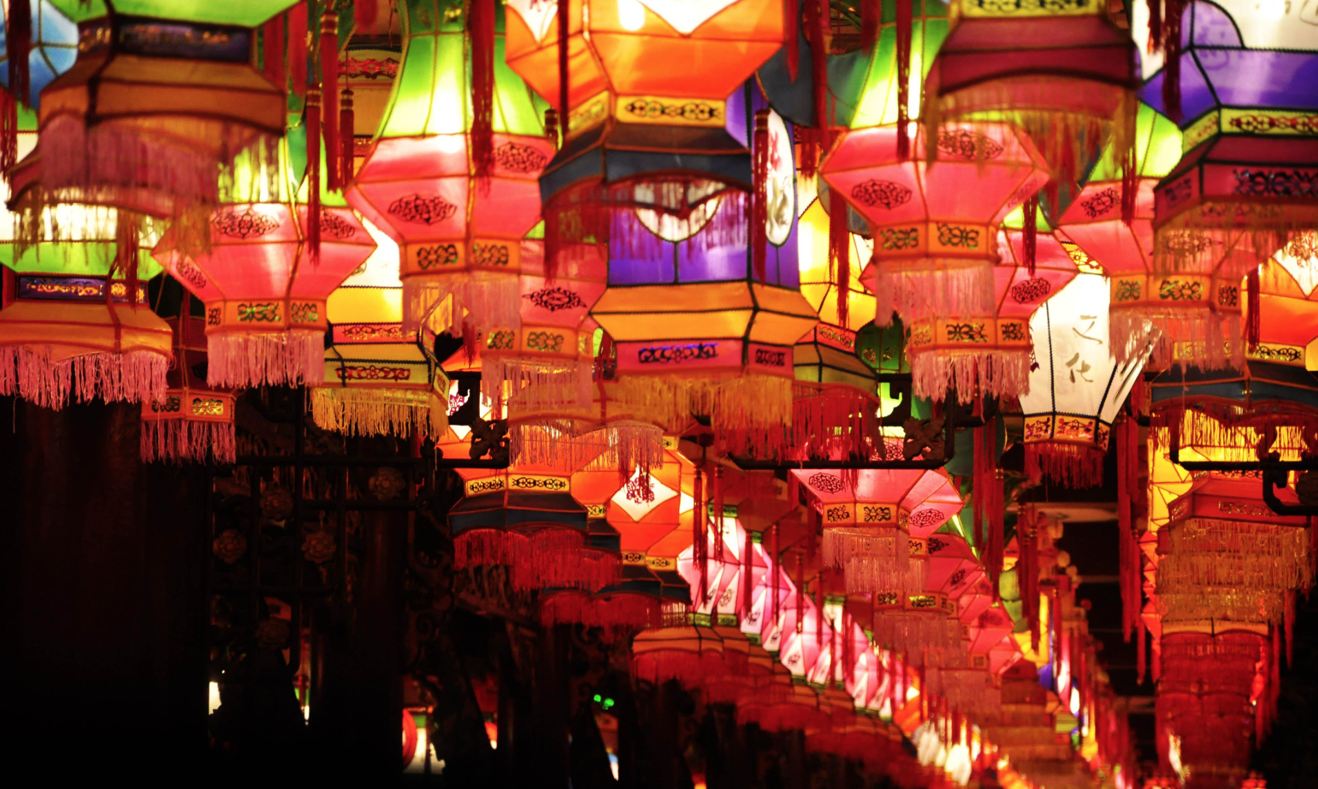 Why became new Ren Mei to feed from tribute, check cate of its place characteristic