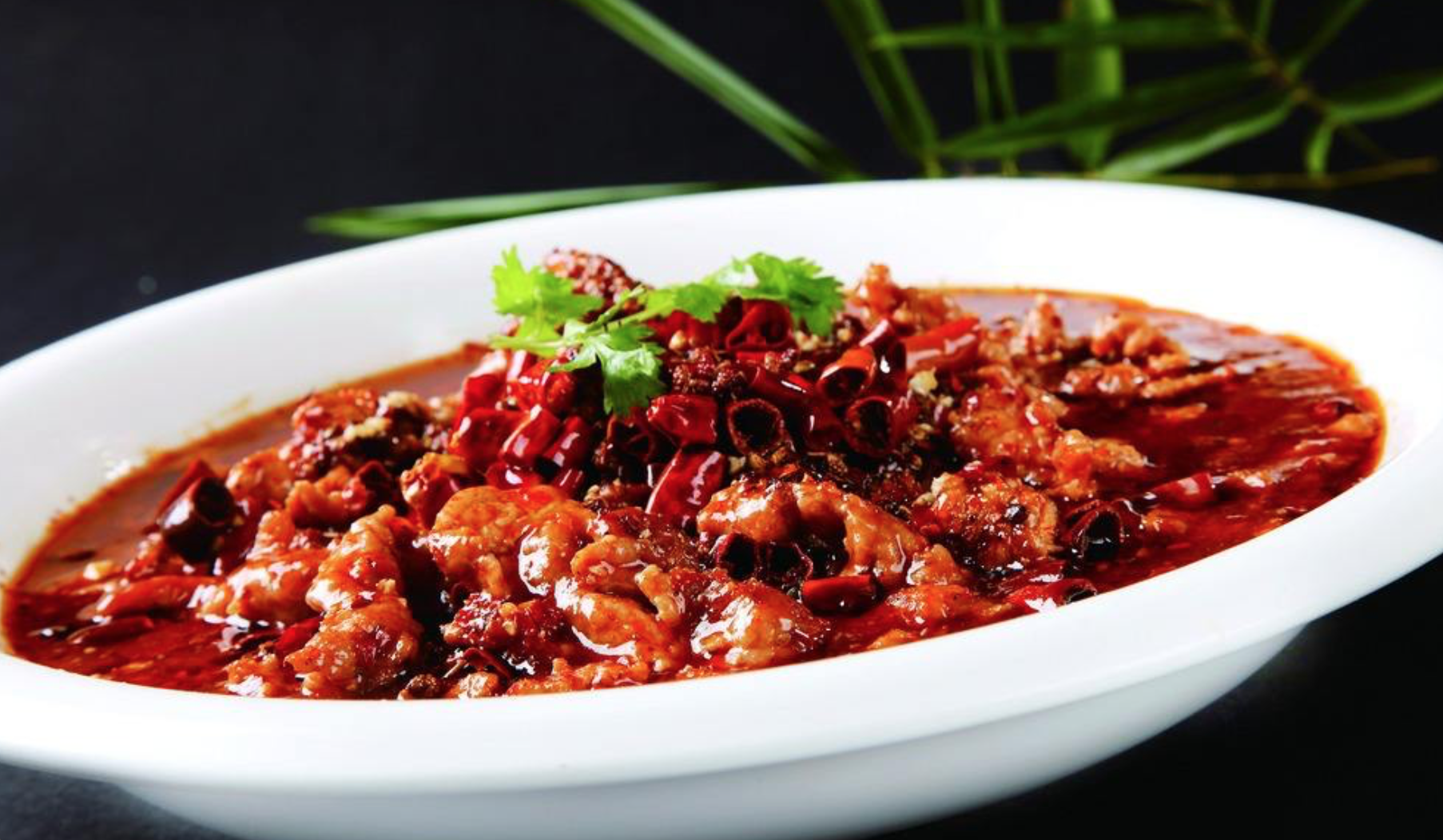 Why became new Ren Mei to feed from tribute, check cate of its place characteristic