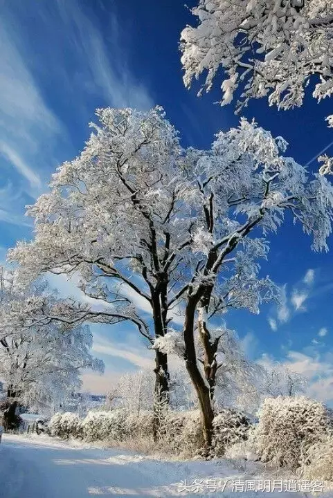 独钓寒江雪，风雪夜归人，200句经典冬天诗句-第17张图片-诗句网