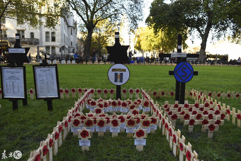 英超开场前为什么放花圈(英国双十一举行阵亡将士纪念 佩戴罂粟向烈士纪念)