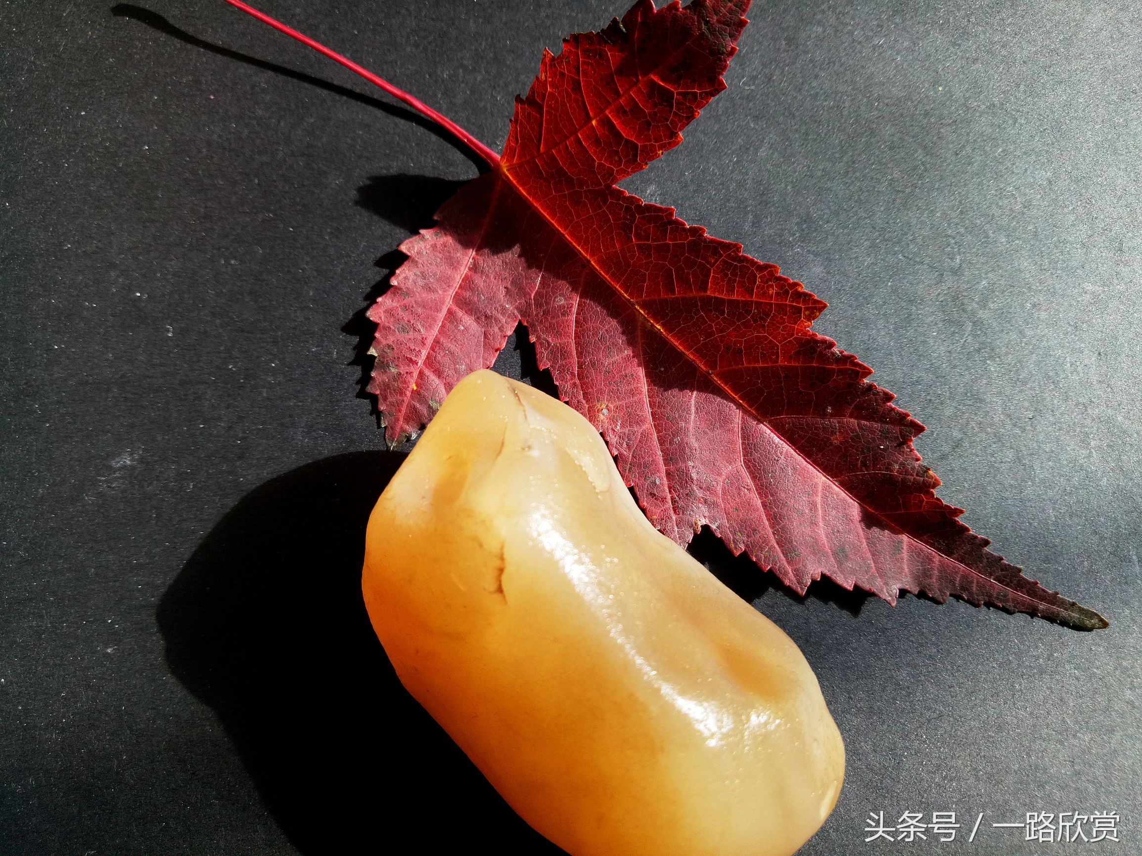 美丽独特的新疆金丝玉令人如痴如醉(白色金丝玉一般什么价格多少) 第