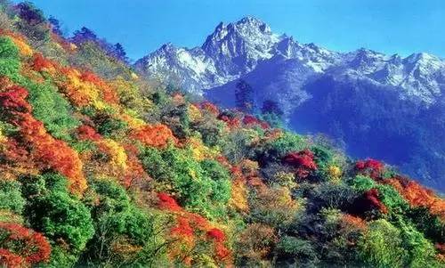 雅安两处上榜四川春季九大最美景点