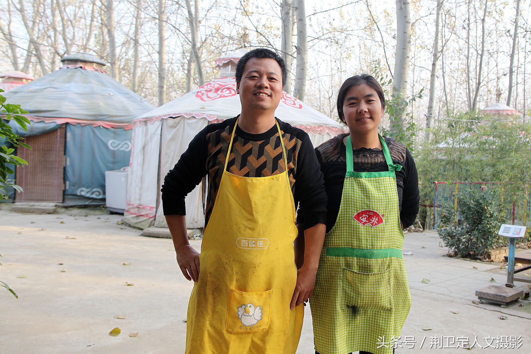 陕西甲鱼批发哪里进货最便宜(晋南这个农家乐黄河野生鱼类一个价，200多公里外西安食客常来吃)