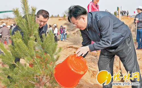 榆林城区春季义务植树活动正式挥锨