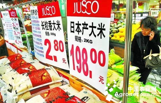 中国游客1500块买日本大米，日本首相用三菱车换中国大米