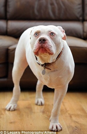 对此,36岁的新郎凯里说:"我和克莱尔一直期待着这次蜜月旅行,但是tee