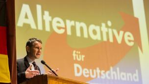 德国极端右翼政党能走多远？