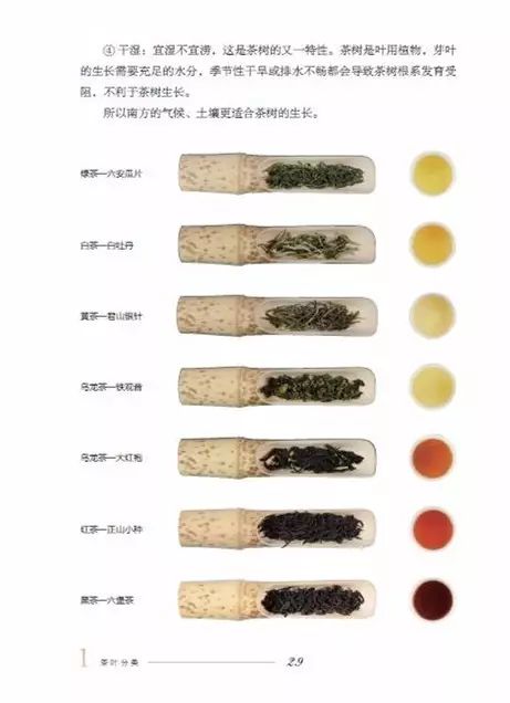 天天喝茶，到底你有多了解它？