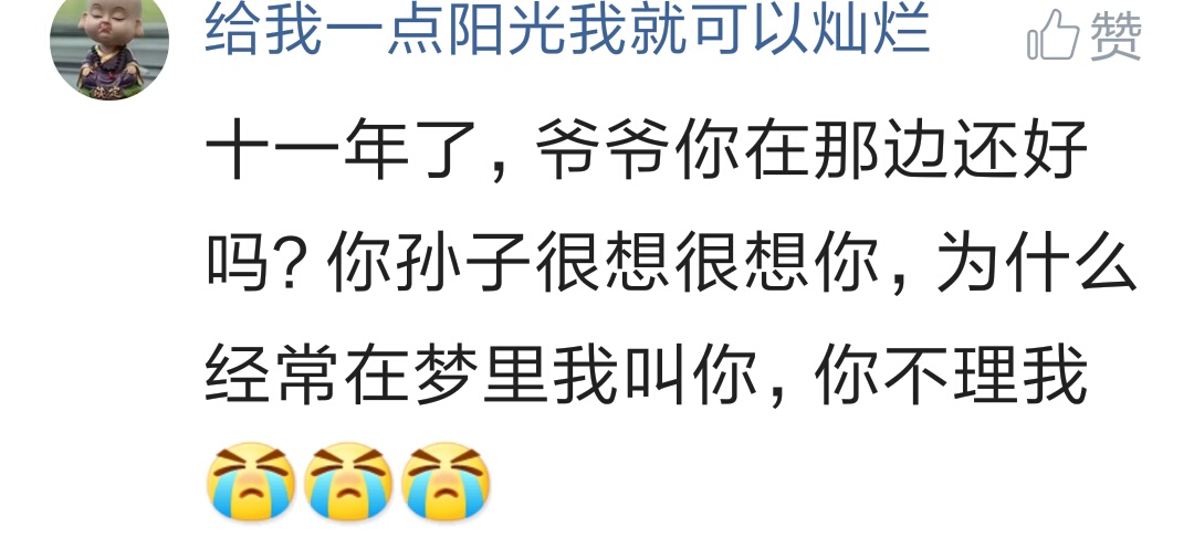 Want what to word say to gone family member? Netizen comment looks cried