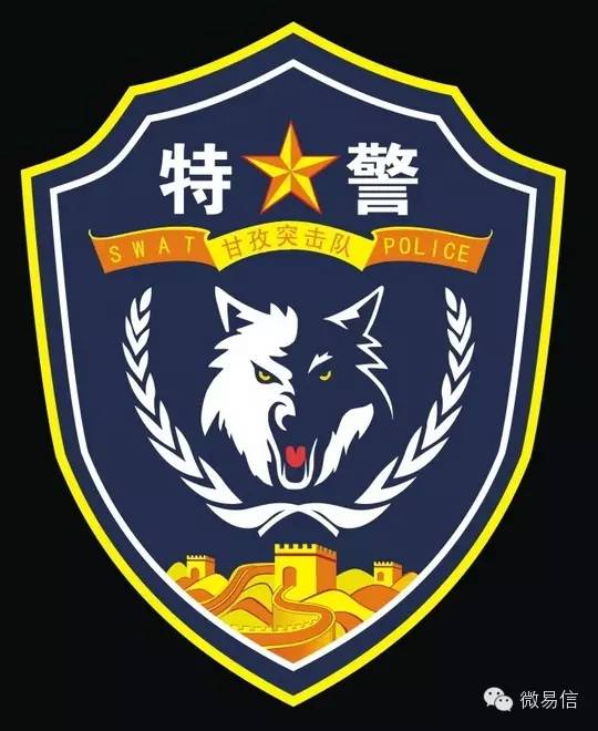 中国公安特警标志臂章图集