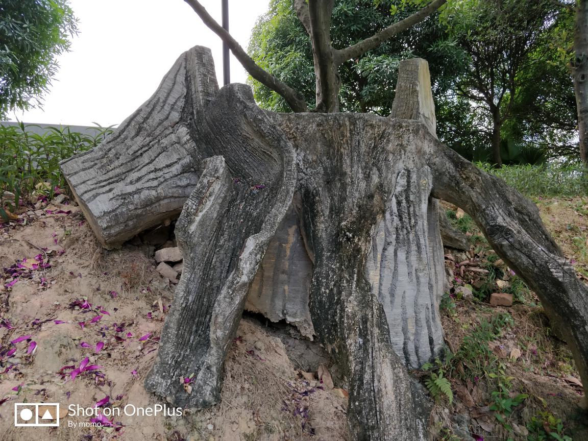 全面屏手机真旗舰级 一加5T溶岩红入门感受