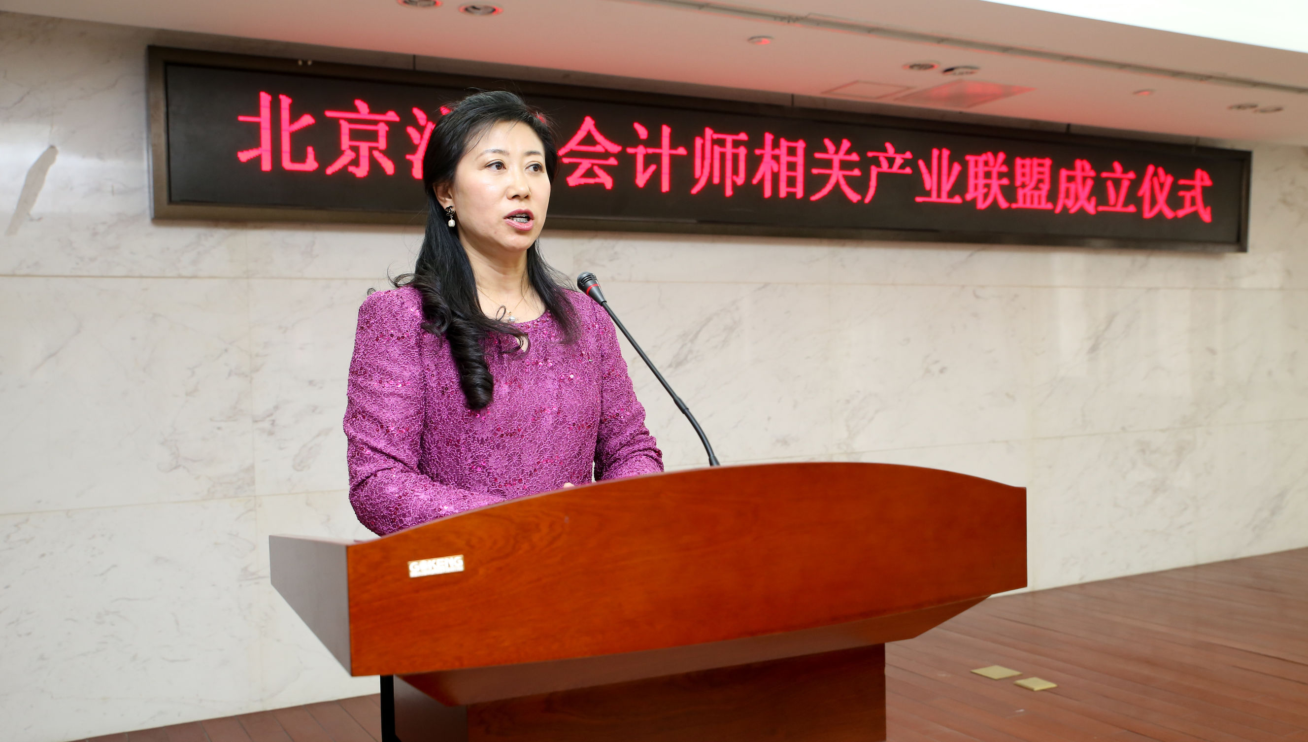 北京注册会计师相关产业联盟成立