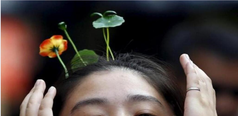 微信公众号如何不花钱吸到优质粉丝