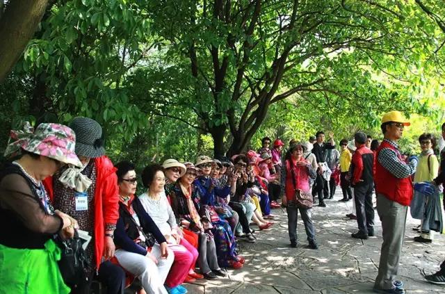 韩国文化艺术团开启醉美贵州之旅，对黄果树瀑布美景赞叹连连！