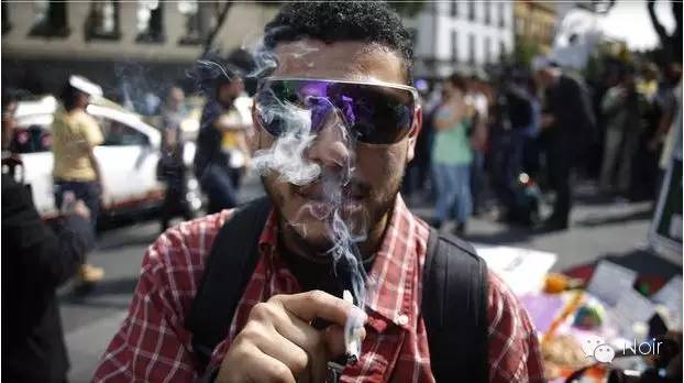 荷兰大麻合法化尝到了甜头，现在加拿大与墨西哥也动心了