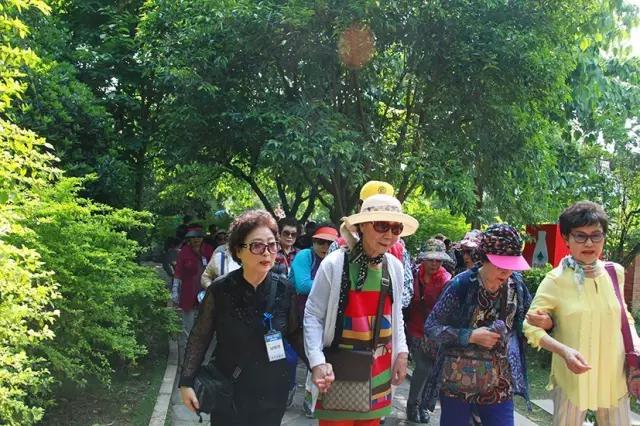 韩国文化艺术团开启醉美贵州之旅，对黄果树瀑布美景赞叹连连！