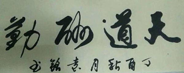 笔耕不辍袁月建书法