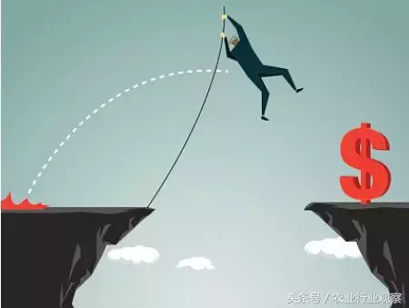 案例｜揭秘90后農場主做農業失敗的5大啟示！