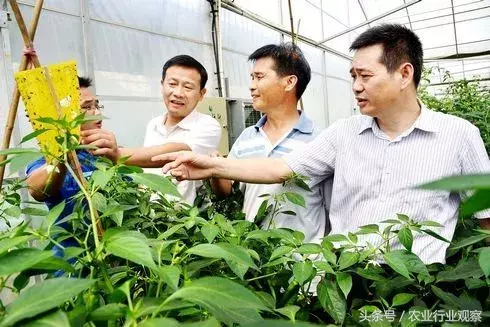案例｜揭秘90后農場主做農業失敗的5大啟示！
