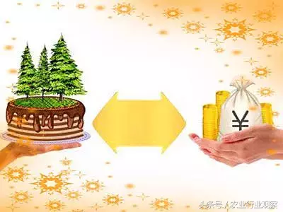 案例｜揭秘90后農場主做農業失敗的5大啟示！