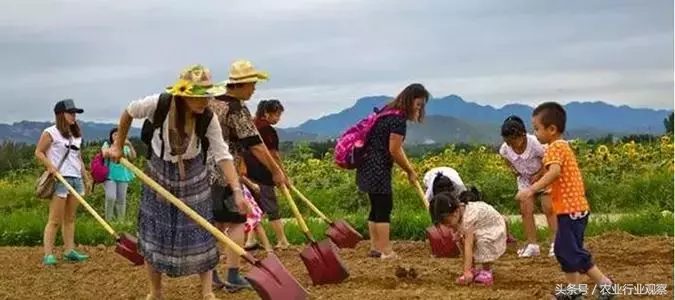 案例｜揭秘90后農場主做農業失敗的5大啟示！