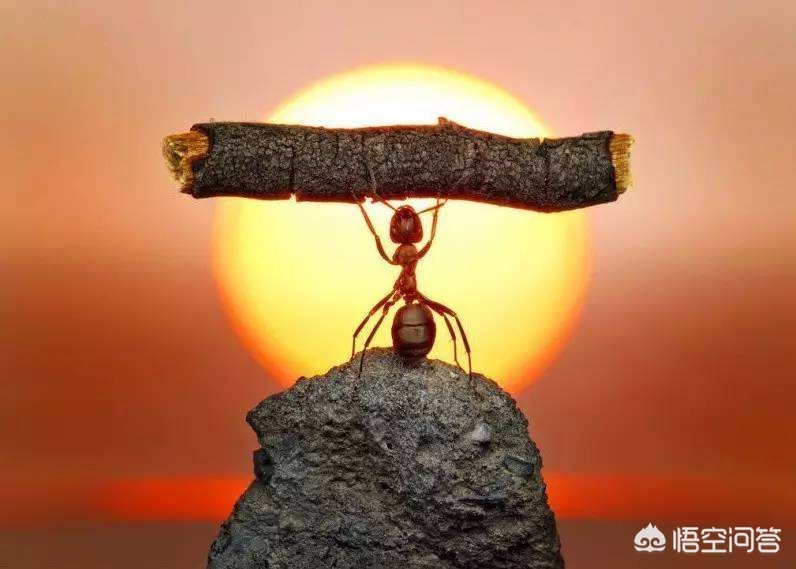 物質(zhì)是可以無(wú)限分割的嗎？原子，原子核，夸克，還有什么？