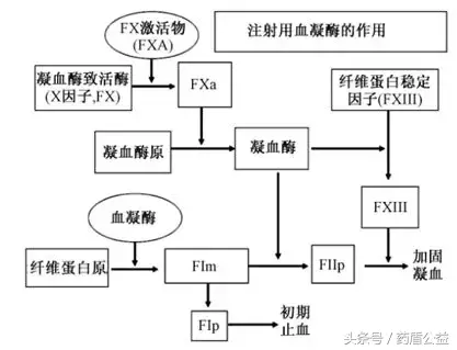 速乐涓,巴曲亭,苏灵是目前我院有的血凝酶类药物,其中速乐涓取自于圆