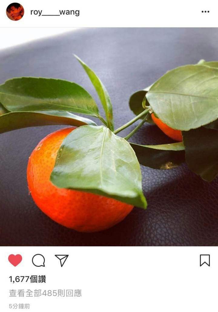 Wang Yuan Ins is newer: Orange? In a steady stream your what meaning? 