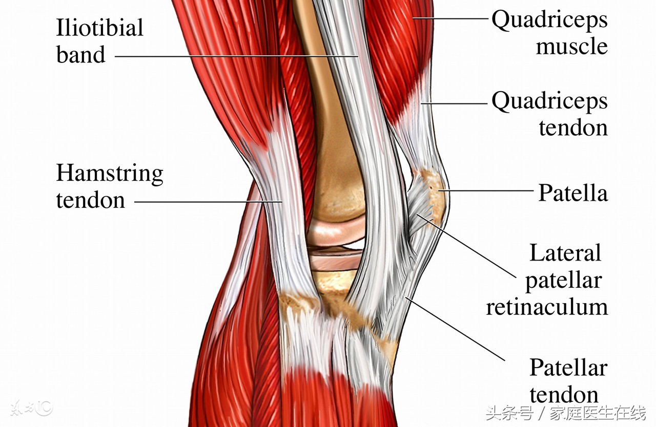 膝盖后面的腿窝筋酸疼？或是你早就有这三方面的疾病！