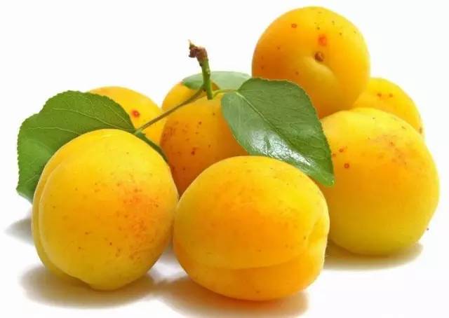 桃饱杏伤人，夏季吃杏有禁忌！立夏杏为鲜，多食脱须眉！