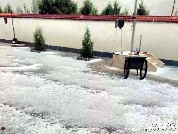 靖边县青阳岔镇部分村遭受冰雹袭击