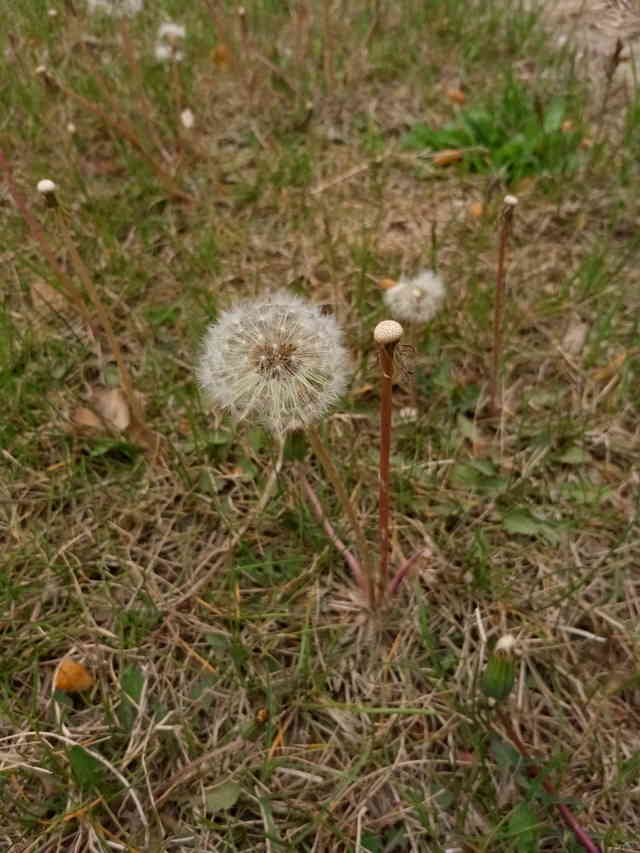 金立S8拍照长测:带你走进不一样的大连