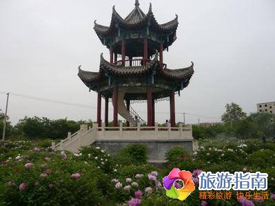 中国旅游标志之都-武威旅游线路推荐！