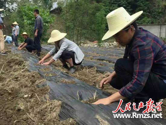 云南凤庆:党员志愿服务队“开进”贫困农户田间地头