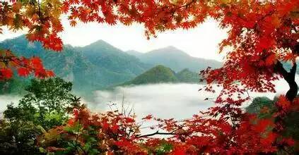美丽“火山喷发地质森林公园”黄椅山