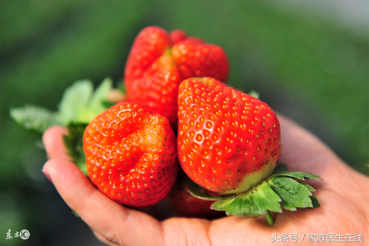 糖尿病吃什么水果好？医生分享4种专为糖尿病人准备的水果