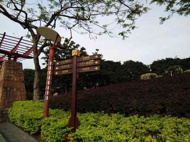 內(nèi)外雙修女神范 悅薄悅快ivvi i3手機(jī)評(píng)測(cè)