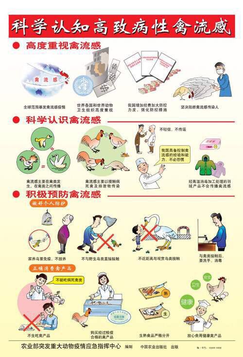 8种禽流感个个都能传染给人！只知道H7N9太out