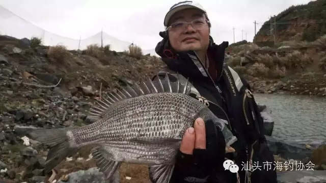 游钓福建福清，完美收杆（内附攻略）