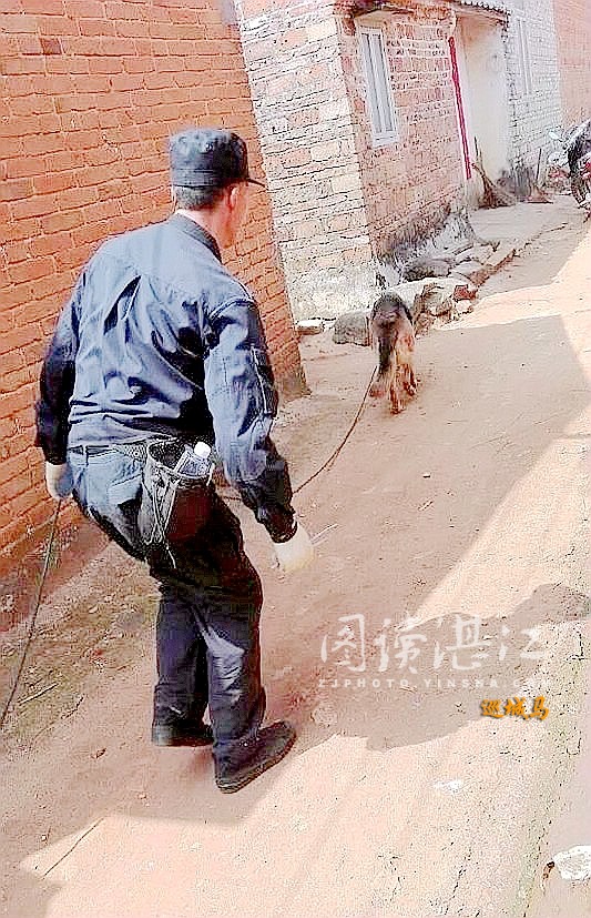 警犬追踪 公安民警迅速抓获遂溪“3.1”命案犯罪嫌凝人